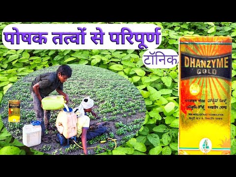 Dhanzyme Gold Tonic/ Plant Growth Regulator/ Soyabean/Tonic/ Crop Tonic/ Plant Growth