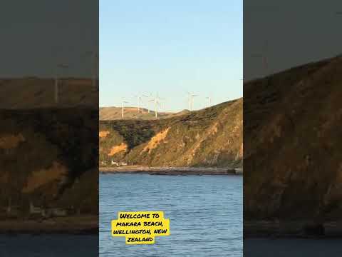 WELCOME TO MAKARA BEACH #WELLINGTON #NEWZEALAND #SUMMERINNZ