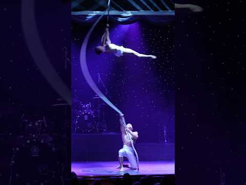 Spanish web ✨🤍🌪️