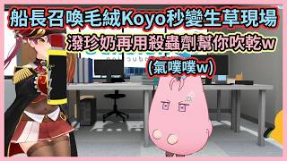 先弄濕再吹乾就能得到一隻毛絨Koyo！w 調皮船長拿殺蟲劑幫吹乾有夠生草w【博衣こより 】【宝鐘マリン】【博衣小夜璃】【寶鐘瑪琳 】【hololive中文】【Vtuber精華】