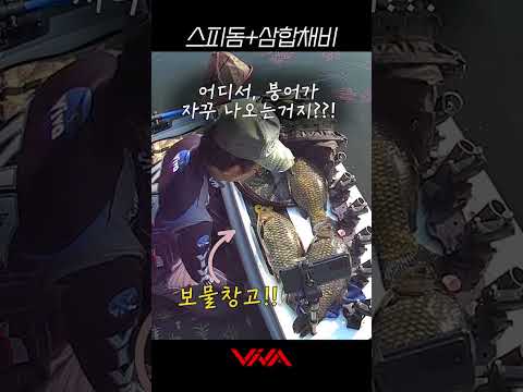 테스트