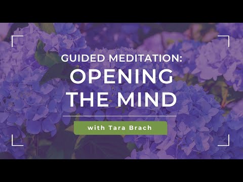 Meditation and Psychology: Unpacking the Mind | Vibepedia