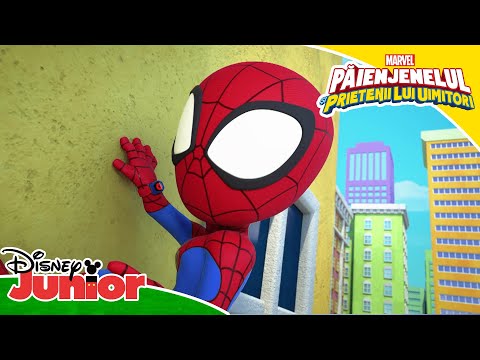 Salvați pisica! | Păienjenelul Marvel și prietenii lui uimitori | Disney Junior România