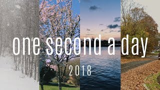 one second a day for a year: 2018