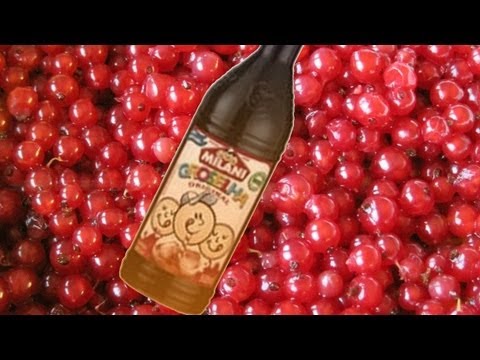 Recadinhos - Groselha e Clipe Novo!