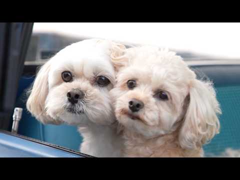 KAZ / T&W Music Video -Behind The Scenes-