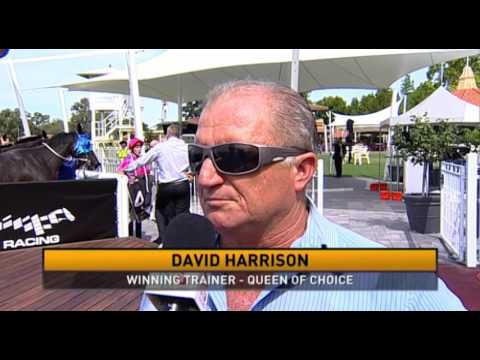 Ascot, 27/01/2016 - Race 4 - QUEEN OF CHOICE - David Harrison