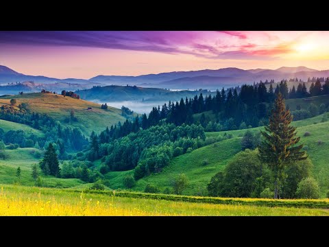 Liquid Drum and Bass Mix 330 - Guest Mix: Askel & Elere