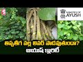 Ayush Ministry Clarifies About Liver Damage Due To Tippa Tega(Giloy) Usage | SumanTV
