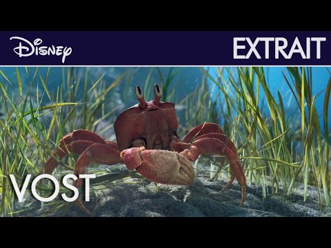 La Petite Sirène (2023) - Extrait : Sous l'océan (VOST) | Disney