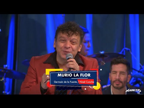 Murio La Flor - Maurizio Ruiz (En Vivo) Desde A Ritmo De Bohemia