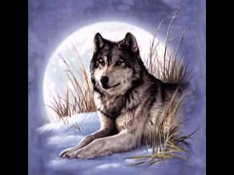 Bate Pe60 feat. Tina - Wolf