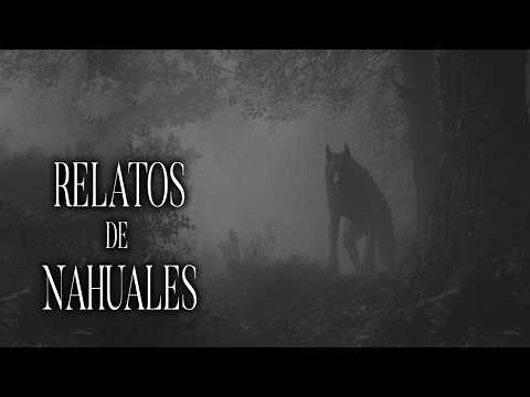 NAHUAL En El MAIZAL Historias De Terror - REDE