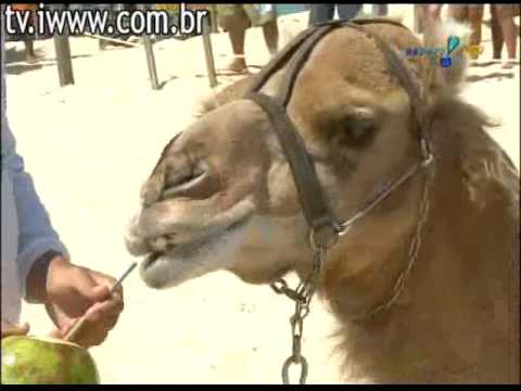 [HQ] Pânico na TV 23-08-2009 - Vesgo e Silvio Santos - Natal, Rio Grande do Norte