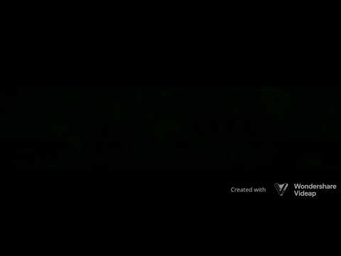 Whitey - TATTZ(2010)