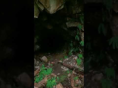 Into the Blue Chip Mine!