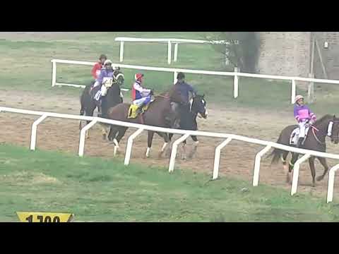 SINT COLONIA 230921 c09 FULL POWER (BRZ)