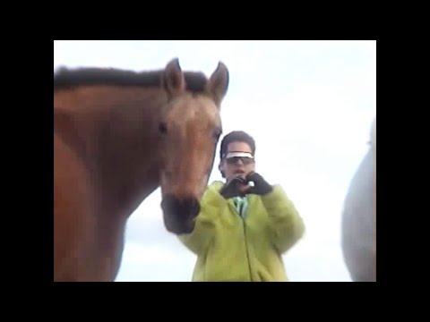 Delgao - MALAGRADECIDA (prod. D3llano)