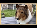 https://youtu.be/8CiHY845YZs