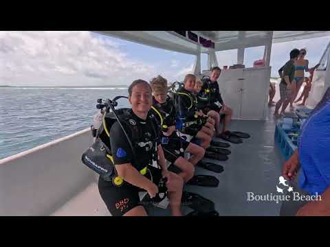 Videos del Boutique Beach Diving 4★ en Dhigurah, MaldivasVer MásVerPrecios8CerrarConsulta por Whatsapp 🇦🇷BookingTripadvisorExpediaAgodaSkyscannerKayakHotelesTurismocity