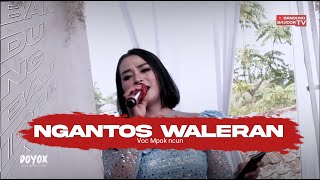 Download lagu Ngantos Waleran (Luhurna gunung manglayang) - VOC Mpok ncun mp3 Download lagu Ngantos Waleran (Luhurna gunung manglayang) - VOC Mpok ncun mp3