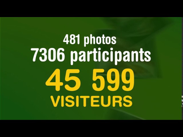 Brand activation campaign