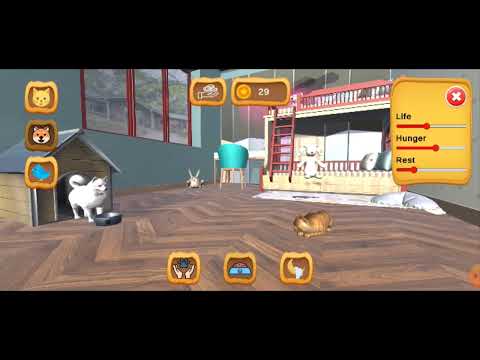 Pet Simulator