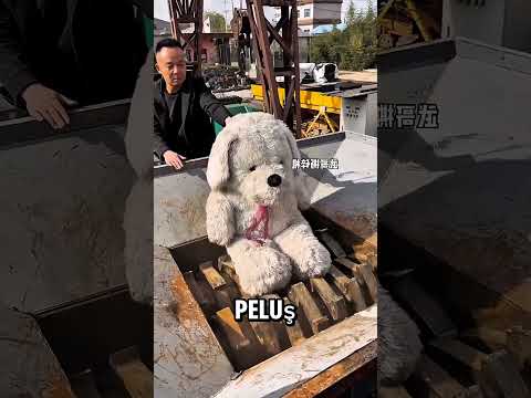 Peluş Ayıyı Makineye Attı… İçinden Çıkan Şeye İnanamayacaksınız! 😱
