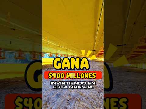 Fincas y Casas Campestres, Venta, Santander de Quilichao - $1.200.000.000