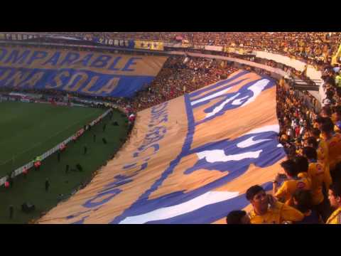 "Recibimiento Tigres vs Internacional Libertadores 2015" Barra: Libres y Lokos • Club: Tigres • País: México
