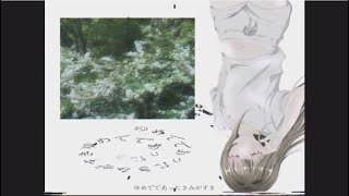 ゆめでであったきみがすき／ナースロボ＿タイプＴ