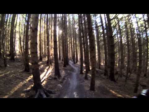 GT 15.2.13 Pie Run/Magic Mushroom