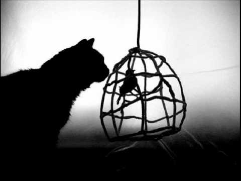 Alex Niggemann - Curious (Original Mix)