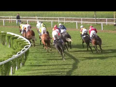 Dostihy Brno-Dvorska 22.4.2017 8.dostih