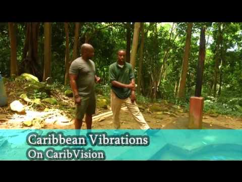 Caribbean Vibrations episode #13-13