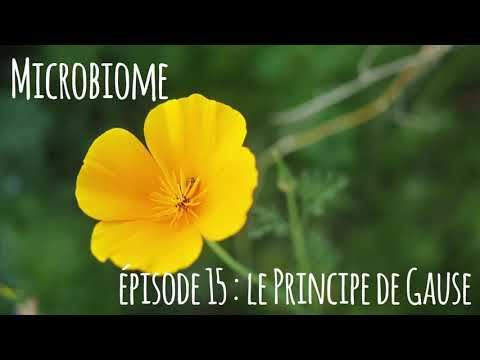 Microbiome : épisode 15 : le principe de Gause