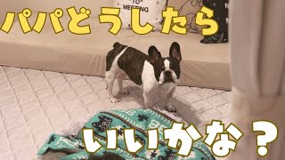 愛犬も悩み事あるみたいです😂（笑）