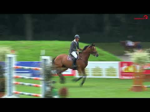 Castella ( Clintord I - Lordanos ) mare stamm 4847 and Jesse Luther