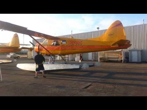 Morning Preflights of DeHavilland Beaver Seaplanes DHC-2 #jimthepilot