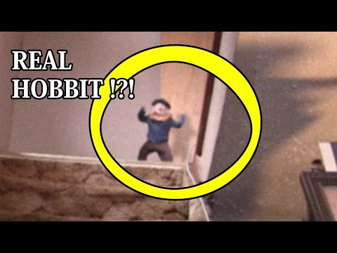 REAL Live Hobbit Type Creature Caught On Tape | Strange troll monster sighting NEW 2016