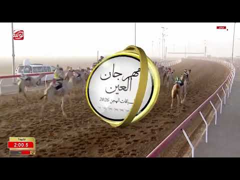 ش 7 (هايب) لـ محمد غريب بن راشد مصبح الكتبي 4:33:27 ، مهرجان العين 2026/07/06 حقايق الروضة