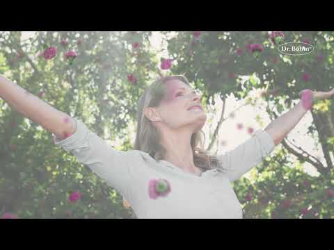 Dr. Böhm - Mariendistel Kapseln