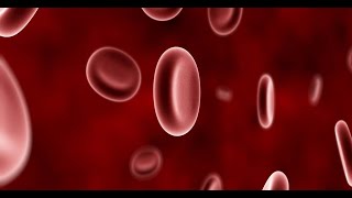 Physiology | Blood | lecture 6 | Part 1 | Dr.Nagi | Arabic