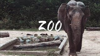 preview picture of video 'ZOO | SLOVENIA Travel Video'