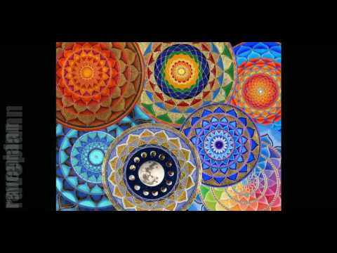 Psytrance DJ Tsubi Ozora One Day In Tokyo 2017