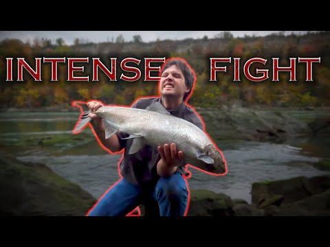 The Epic Journey Of Catching A King Salmon