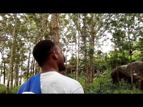 Harmorapa ft Amber lulu _Dude