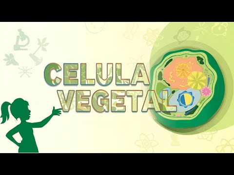 The Plant Cell and its parts 21