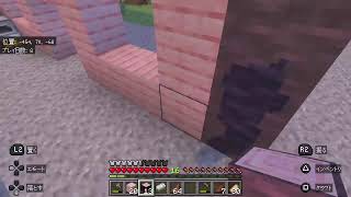 今さらだけど新要素に触れたい　Minecraft