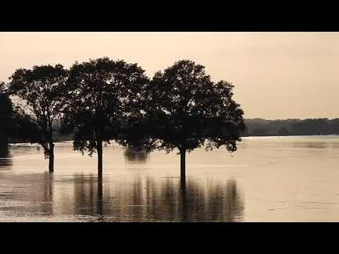 Hoog water op vrijdag in Well - Wanssum